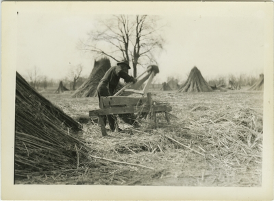 Unknown African American male (same man pictured in item 58) breaking hemp on hand brakes in a field of hemp stalk stacks