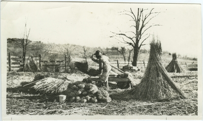 Unknown African American male breaking hemp on hand brakes in a field of hemp stalk stacks