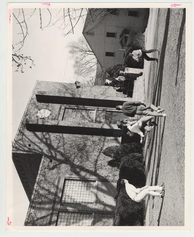 Law students take advantage of recreational opportunities on the front lawn of Lafferty Hall, which housed the Law School