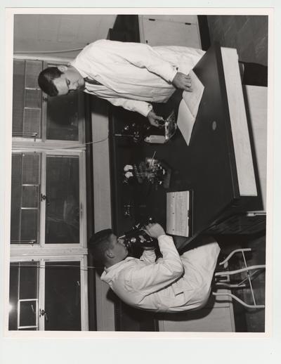 Pharmacy students using microscopes