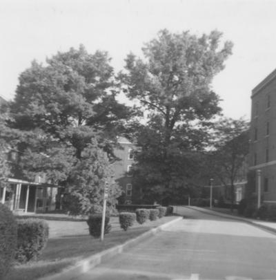 Keeneland Hall (right) and Blazer Hall (left) in May of 1969, after three houses were removed to build the two dormitories