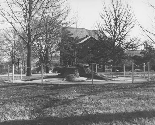 Original President's house view from south