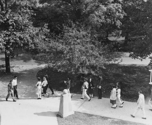 Students walking to class