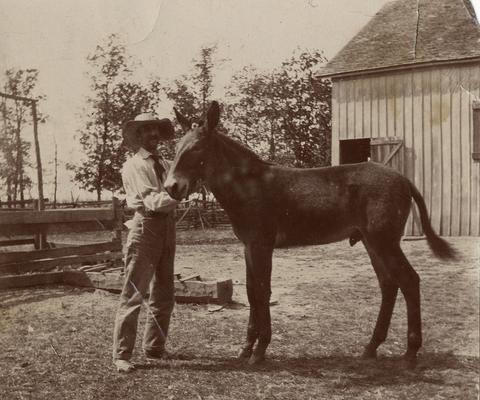 James Russell Jenness, Jr. with a mule