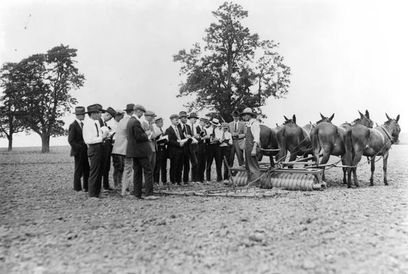 Man with mules in harness speaking with a group of men