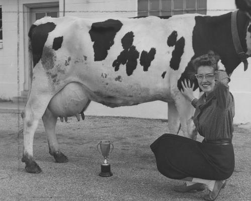 Woman kneeling beside a trophy-winning cow