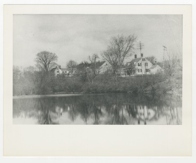 Lake, power lines, and trees in front of houses