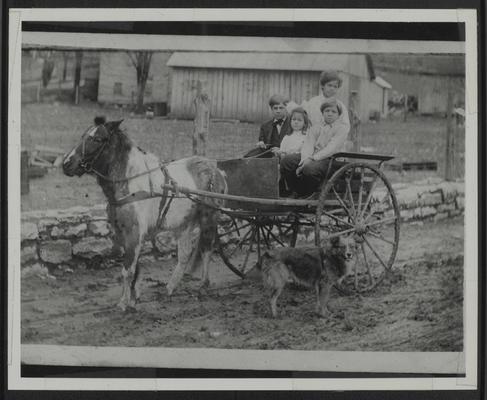 Neill C. Johnson 1900-1966, Mary E. Johnson (Johnston) 1909-1979, Charles D. Johnson 1903-1920, Lyman T. Johnson with pony, James, in 2-wheel cart on road in front of barn on rainy day