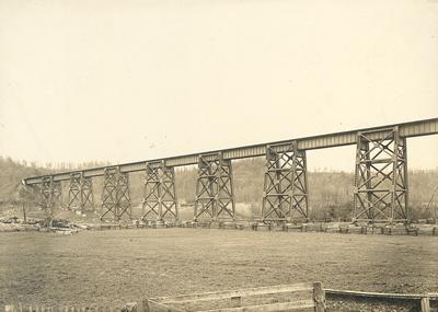 High Bridge with wooden fence surrounding the grass below