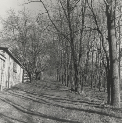 Path beside the pony barn; Boot Hill Farm; Gen Barnhart