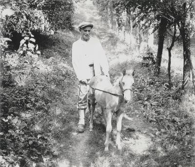 John Jacob Niles schooling a pony foal; Boot Hill Farm; Van Coke