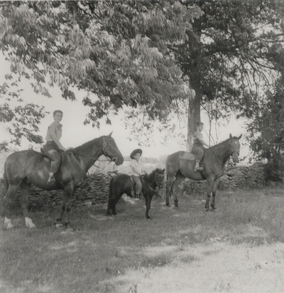 On horseback at Boot Hill Farm; Left to right: Rena, John Ed, and Tom Niles