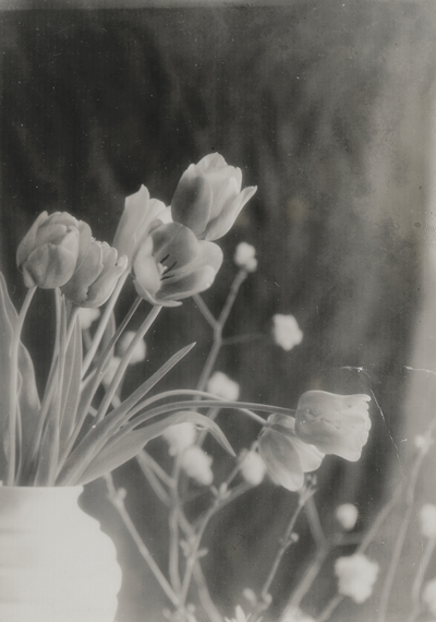 Tulips; John Jacob Niles