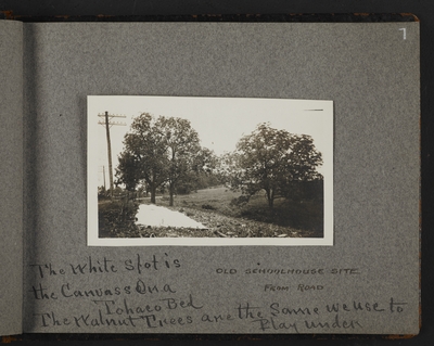 Old schoolhouse site from road. The white spot is the canvas on a tobacco bed. The walnut trees are the same we use to play under