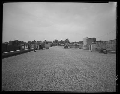 S.S. Kresge & Company (156, 250 West Main); exterior;                             roof