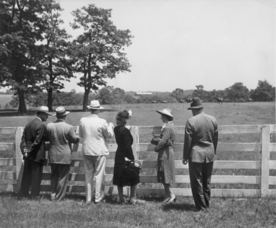 Four men and two women looking over a fence at horses in a pasture