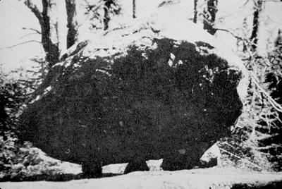 Dolmen at Lake - Note on slide: B. Fell / Bronze Age America