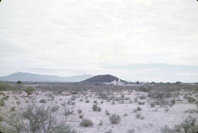 White Dove of Desert San Xavier del Bel