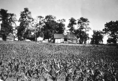 Crenshaw Cabin - Note on slide: Armstrong Mill Road. David Crenshaw