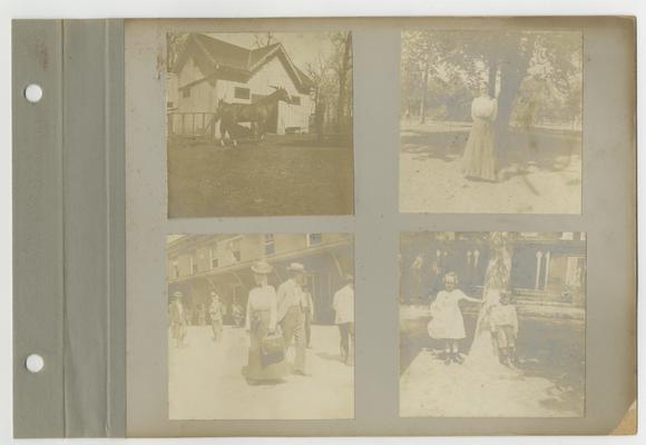 Bell family photograph album