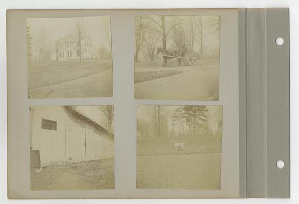 Bell family photograph album