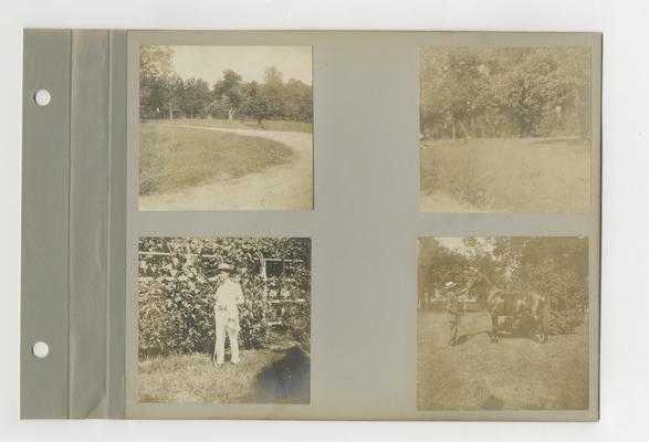 Bell family photograph album