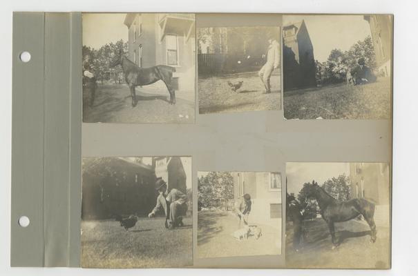 Bell family photograph album