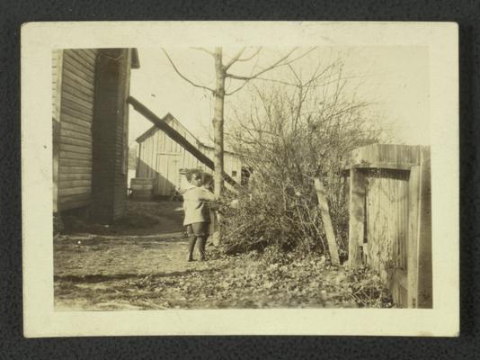 Two unidentified black children next to a bush growing next to a fence