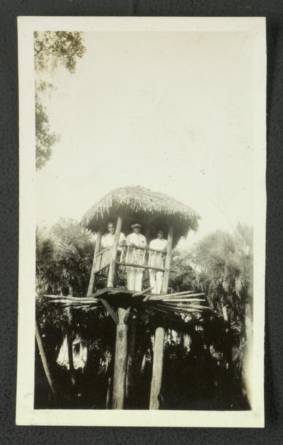 Three unidentified black men in a tree-house