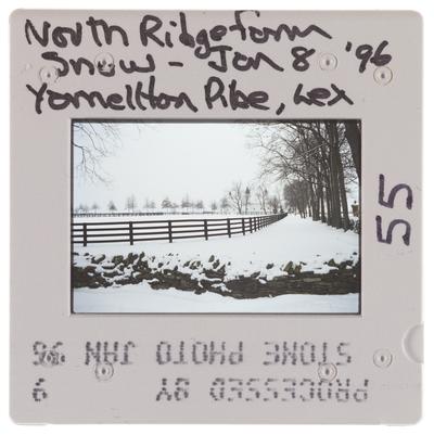 North Ridge Farm Snow - Yarnallton Pike, Lexington