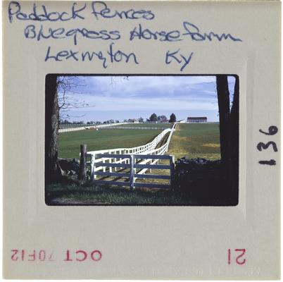 Paddock fences Bluegrass Horse farm Lexington, Kentucky