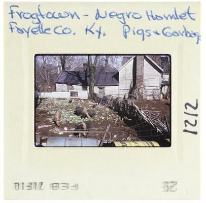 Frogtown - Black Hamlet Fayete County, Kentucky Pigs and Garbage