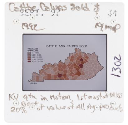 Cattle and Calves Sold 1992 Kentucky Map