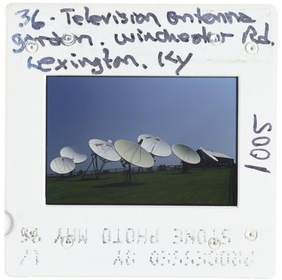 36 - Television Antenna Garden - Winchester Road - Lexington, Kentucky