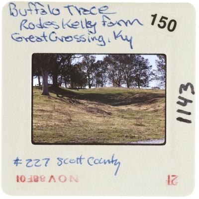 Buffalo Trace, Rodes Kelly Farm, Great Crossing, Kentucky - number 227 Scott County