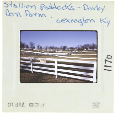 Stallion Paddocks - Darby Dan Farm Lexington, Kentucky