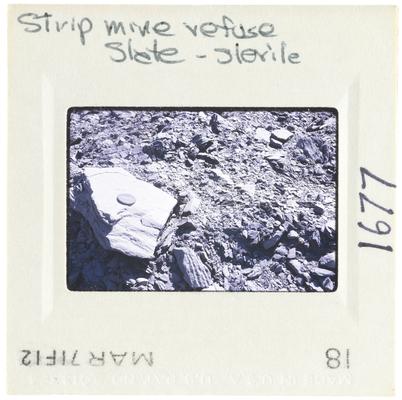 Strip Mine Refuse - Slate - Sierile