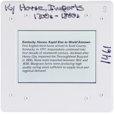 Kentucky Horse Imports 1700s-1800s