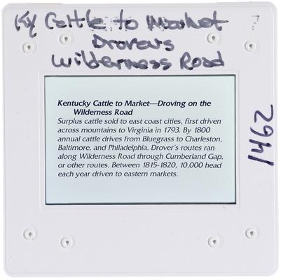 Kentucky Cattle to Market Drovers Wilderness Road