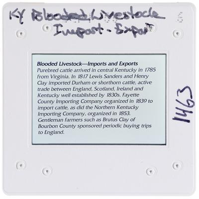 Kentucky Blooded Livestock Import-Export