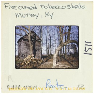 Fire cured Tobacco Sheds - Murray, Kentucky