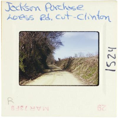 Jackson Purchase - Loess Road cut-clinton