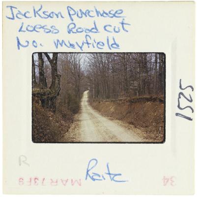 Jackson Purchase - Loess Road cut - North Mayfield