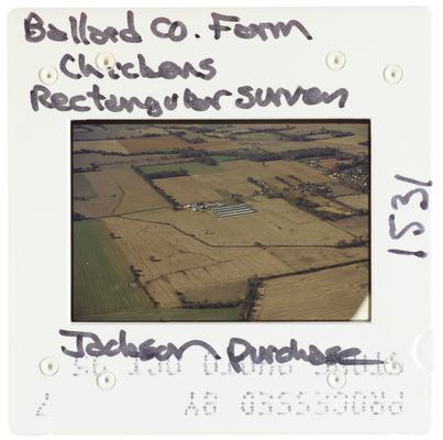 Ballard County Farm Chickens Rectangular Survey - Jackson Purchase