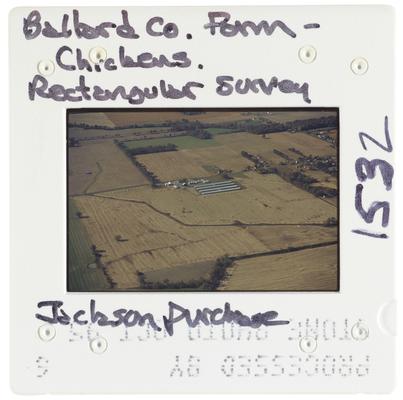 Ballard County Farm Chickens Rectangular Survey - Jackson Purchase