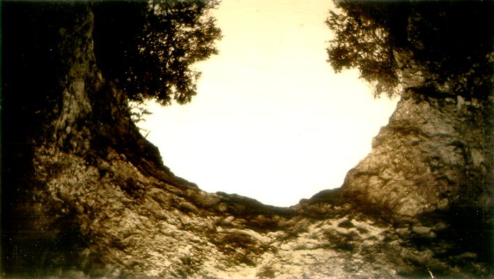 View of the sky between two tree trunks