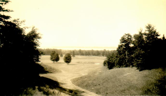 A country scene