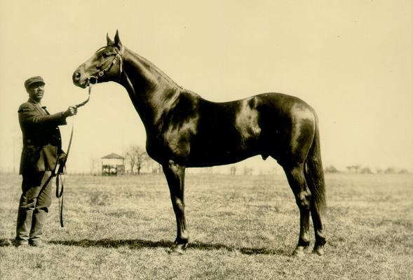 Will Harbut holding reins of Man O' War