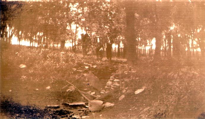 Three men in woods