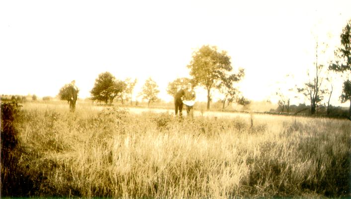 Three men in a field (Duplicate of #59.)